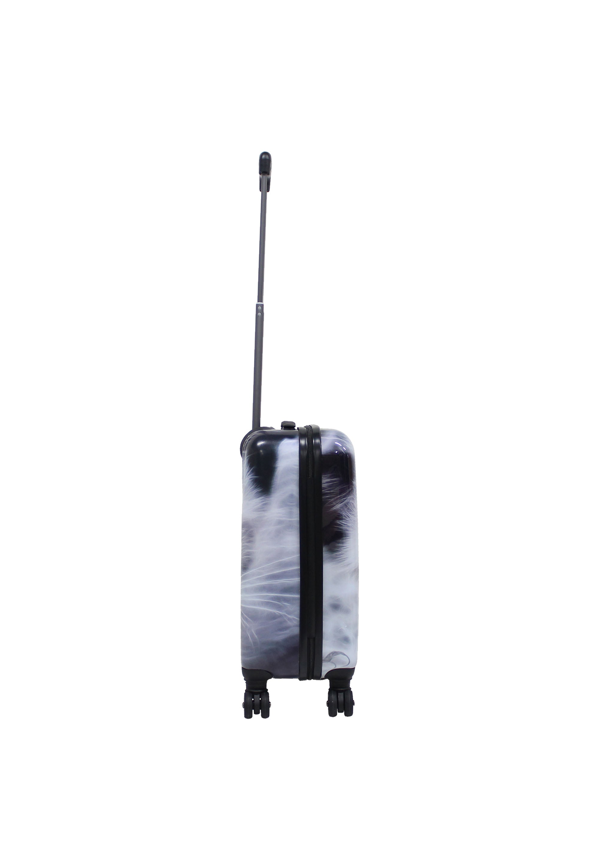 Saxoline White Cat Handluggage HardSuitcase / Trolley / Travel Suitcase - 54 cm - (Small)