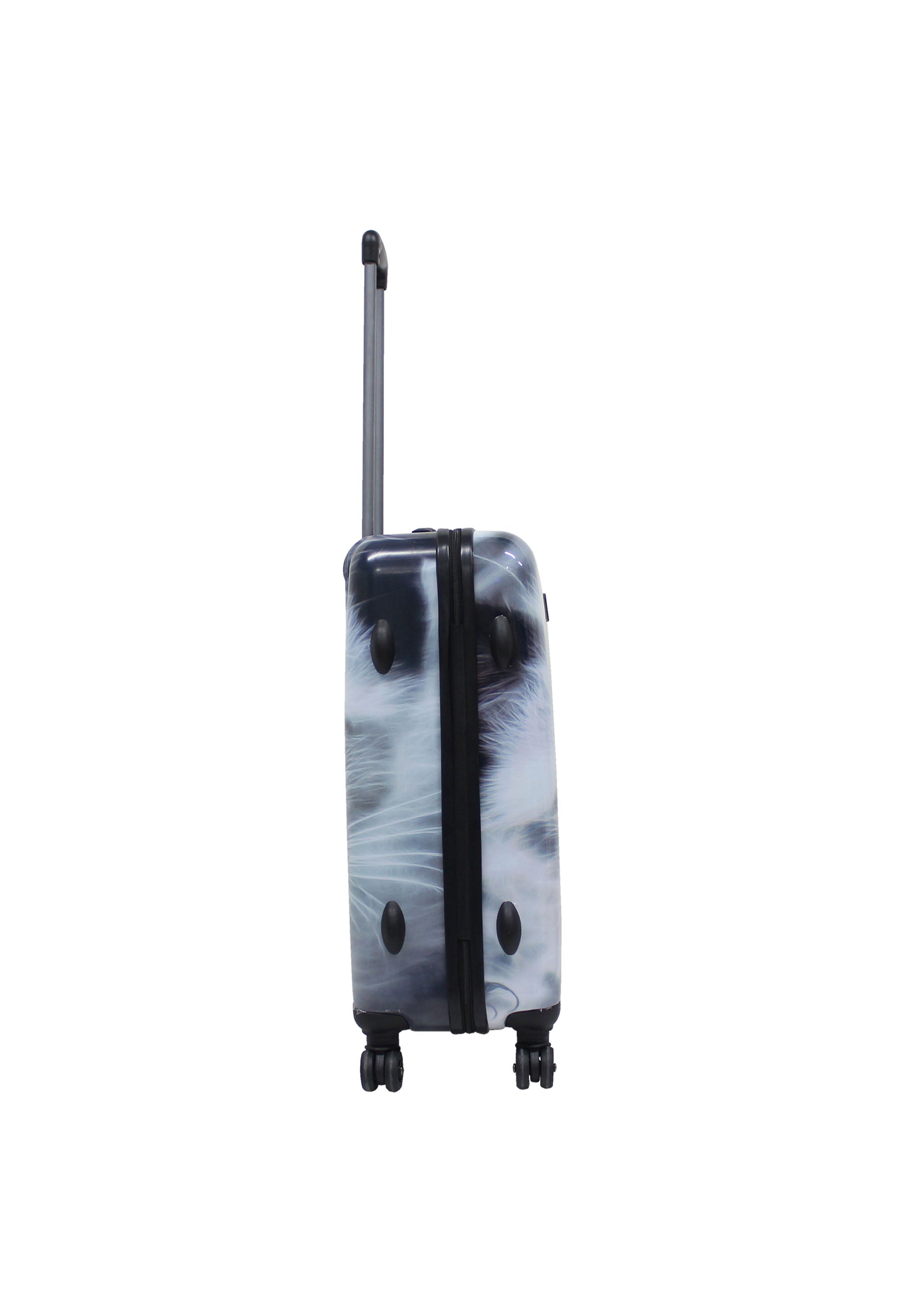 Saxoline White Cat Hard Suitcase / Trolley / Luggage - 67 cm - (Medium)